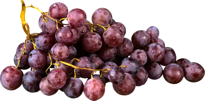 Purple Grape Cluster